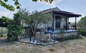 Apartma Vista Baredi