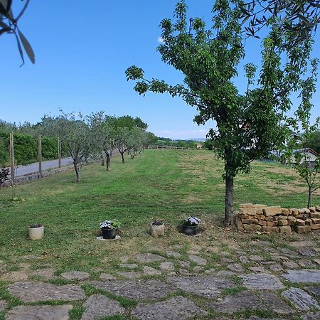 Apartma Vista Baredi Izola Extérieur photo