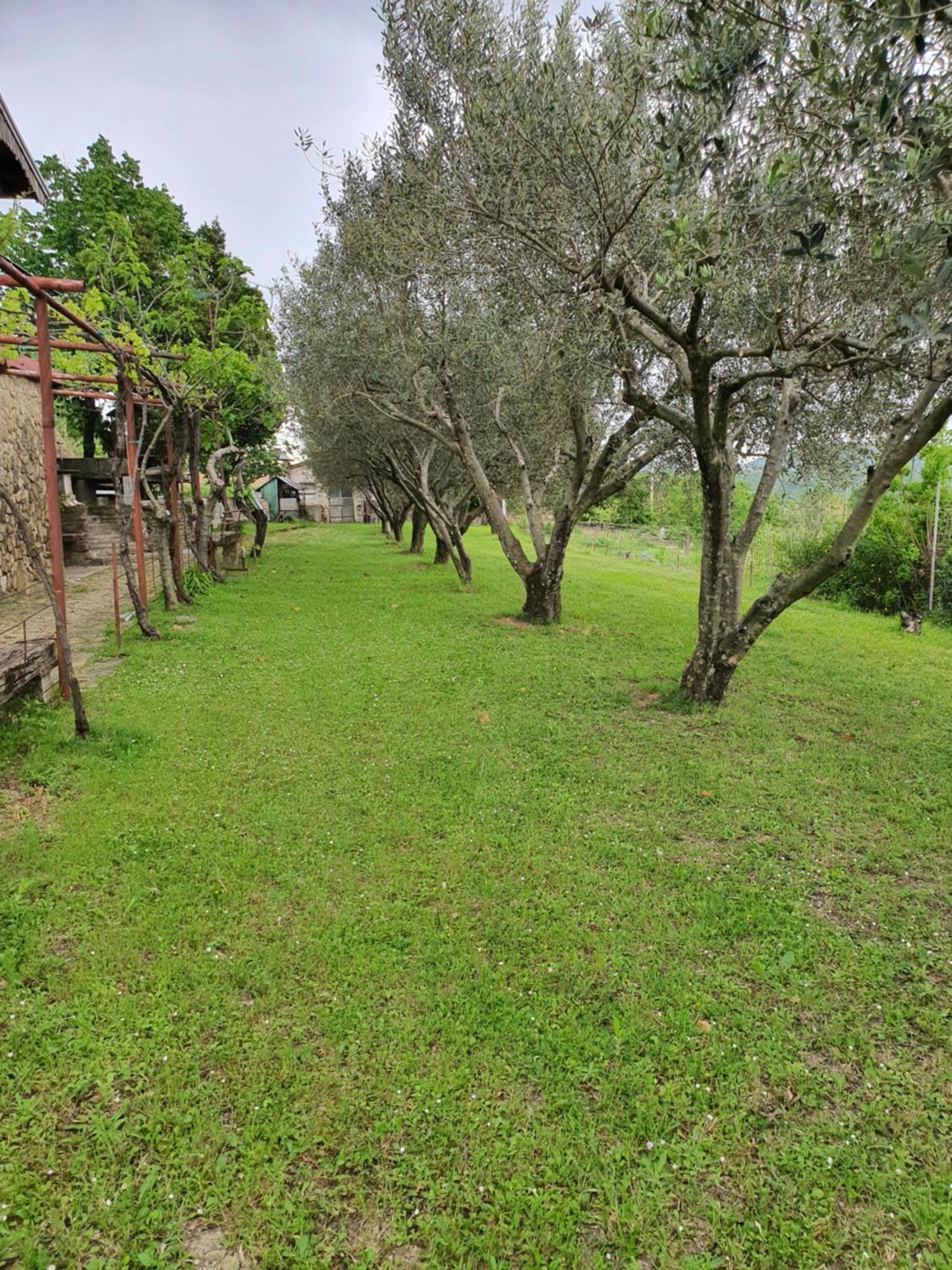 Apartma Vista Baredi Izola Extérieur photo
